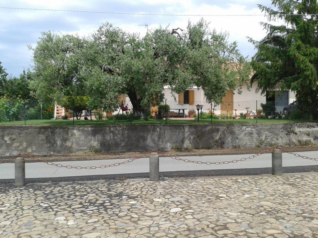 Villa Etna Piedimonte Etneo Eksteriør bilde